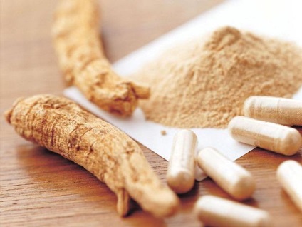 Angelica officinalis (iarba Anzhelika) proprietăți terapeutice, contraindicații utilizarea angelica (Angelica) Angelica officinalis (iarba Anzhelika) proprietăți terapeutice, contraindicații la utilizarea angelica