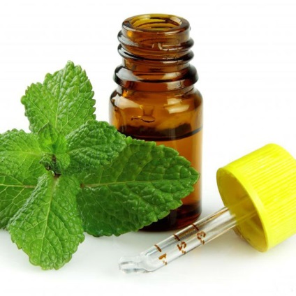 Menta ulei esential este ulei de mentă proprietăți utile și aplicații în cosmetologie (mentă) Menta ulei esential este ulei de mentă proprietăți și aplicații în cosmetologie utile