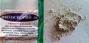 Fitosporin-m - instrucțiuni pentru aplicarea substanței (avantaje de aplicare m fitosporin avertismente) Fitosporin-m - instrucțiuni de utilizare a medicamentului
