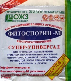 Fitosporin-m - instrucțiuni pentru aplicarea substanței (avantaje de aplicare m fitosporin avertismente) Fitosporin-m - instrucțiuni de utilizare a medicamentului