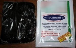 Fitosporin-m - instrucțiuni pentru aplicarea substanței (m manualul de instrucțiuni fitosporin) Fitosporin-m - instrucțiuni de utilizare a medicamentului