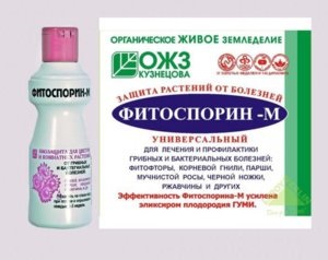Fitosporin-m - instrucțiuni pentru aplicarea substanței (avantaje de aplicare m fitosporin avertismente) Fitosporin-m - instrucțiuni de utilizare a medicamentului
