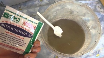 Fitosporin-m - instrucțiuni pentru aplicarea substanței (fitosporin aplicarea pe căpșuni) Fitosporin-m - instrucțiuni de utilizare a medicamentului