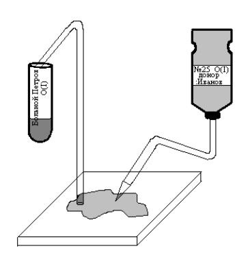 de sânge Fiziologie (sistem antigen Rh) Fiziologia sângelui