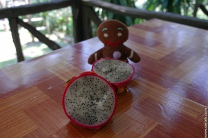 Thailanda Fructe (fructe) fructe din Thailanda