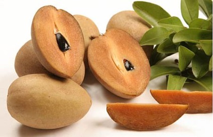 Sapodilla fructe - proprietăți utile, cum ar fi mancatul, calorii (fructe) Sapodilla fructe - proprietăți utile, cum ar fi mancatul, calorii