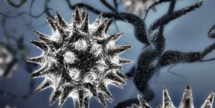Herpes pe cap fotografie, simptome, cauze, tratamentul (cap) Herpes pe cap fotografie, simptome, cauze, tratament