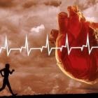 De sănătate a sistemului cardiovascular - sanatatea ta este în mâinile tale! (Igienă) De sănătate a sistemului cardiovascular - sanatatea ta este în mâinile tale!