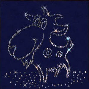 1991 (horoscop) anul 1991