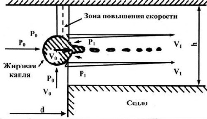 Omogenizarea materiilor prime lactate (zdrobire globulelor de grăsime) Omogenizarea laptelui crud