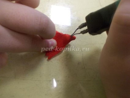 Garoafe cu mâinile lor (cuisoare) Garoafe cu mâinile lor