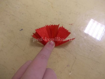 Garoafe cu mâinile lor (mâini) Garoafe cu mâinile lor