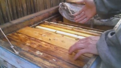 Familia de corecție trutovyh (corecție) Familia trutovyh Corectare