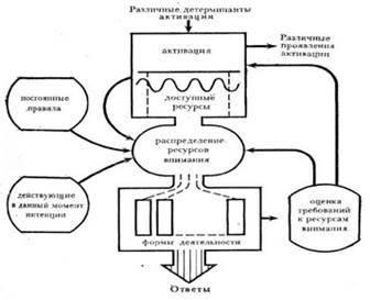 atenție de cercetare în ceea ce privește psihologia cognitivă, atenție la alegerea unui obiect din (materiale educaționale) atenția asupra cercetării din perspectiva psihologiei cognitive, atenție la alegerea unui obiect din