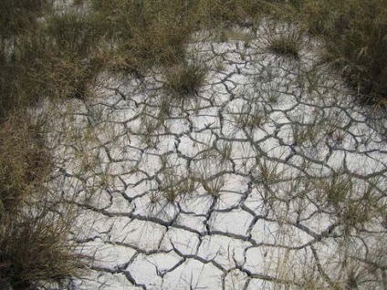 sol calcaros (sol) soluri calcaroase