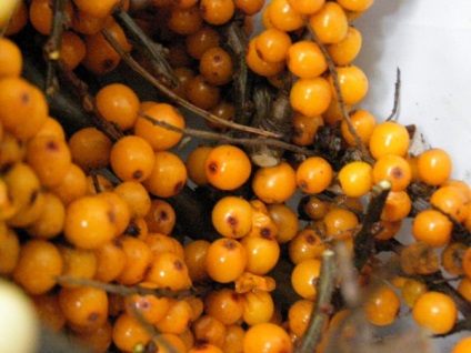Suc de fructe de ananas în piese de rețete de iarnă (compot, etc.) cu prune, lamaie, etc (dovlecei) Suc de fructe de ananas în piese de rețete de iarnă (compot, etc.) cu prune, lamaie, etc.