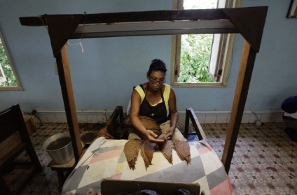 Cum de a face trabucuri cubaneze (trabuc) Cum sa faci trabucuri cubaneze