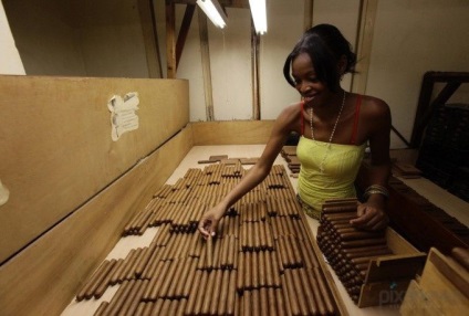 Cum de a face trabucuri cubaneze (trabuc) Cum sa faci trabucuri cubaneze