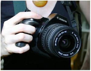 Cum de a face fotografii în modul macro acasă acvariu (review-uri) Cum de a face fotografii în modul macro acasă acvariu
