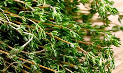 Ce plante medicinale creste potenta la barbati - eficiente sau nu (efectiv) Ce plante crește potența bărbaților - indiferent dacă sunt sau nu în mod eficient