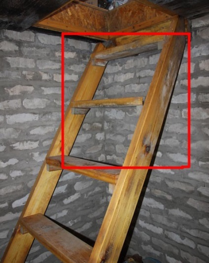 Cum de a scăpa de ciuperca în instrucțiunile video de pivniță cu privire la modul de a curăța mâinile lor, cum să obțineți (lor) Cum de a scăpa de ciuperca în instrucțiunile video de pivniță cu privire la modul de a curăța mâinile lor, cum pentru a obține,