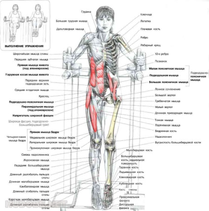 Cum de a construi o presa de formare rapid mușchii abdominali, jd-sport 3 (pompă) Cum de a construi o presa de formare rapid mușchii abdominali, jd-sport 3