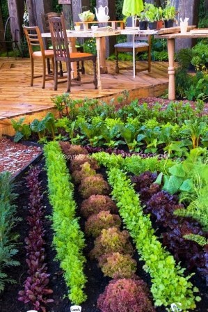 Cum să planteze în grădină tot drumul spre sine toate au crescut molvinets ϟ interpreți (gradina) Cum să planteze în grădină tot drumul spre sine toate au crescut molvinets ϟ interpreți