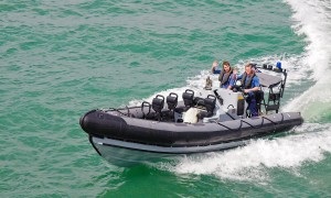 Cum de a alege nada dreapta „(wobblers abundă) Cum de a alege nada dreapta