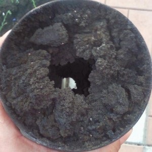 Cum să desfundarea o țeavă în baie cu mâinile (țeavă) Cum să desfundarea o țeavă în baie cu mâinile