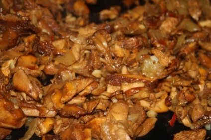 Cum de a recunoaște Chanterelle false (fals) Cum de a recunoaște fals chanterelle