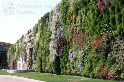 Cum sa faci o grădină verticală, cu propriile sale mâini (structuri de grădină verticală) Cum sa faci o grădină verticală cu propriile sale mâini