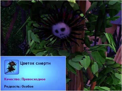 Cum de a elimina blestemul mumiei în Sims 3 - moduri diferite (elimina) Cum de a elimina blestemul mumiei în Sims 3 - moduri diferite