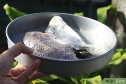 Cum de a păstra produsele alimentare (legume pot fi utilizate) Cum de a păstra produsele alimentare