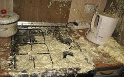 Cum de a elimina petele de spuma (cum se scoate miezul de spumă) Cum de a elimina petele de spumă