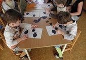 Așa cum am o gradinita pentru copilul tau cauta (cauta) Așa cum am o grădiniță pentru copil căutat