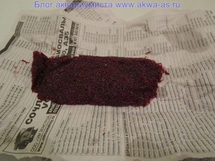 Cum să înghețe bloodworm, blog-ul acvarist (hrana pentru animale și hrănirea peștilor) Cum să înghețe bloodworm, blog-ul acvarist