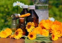 Calendula și beneficiile sale pentru păr (Calendula) Calendula și beneficiile sale pentru păr
