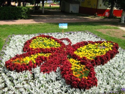 Cravată strat de flori propriile lor mâini ideile și tehnologiile de paturi de construcție în formă de (paturi) Cravată strat de flori propriile lor mâini ideile și tehnologiile de flowerbeds buclat constructii
