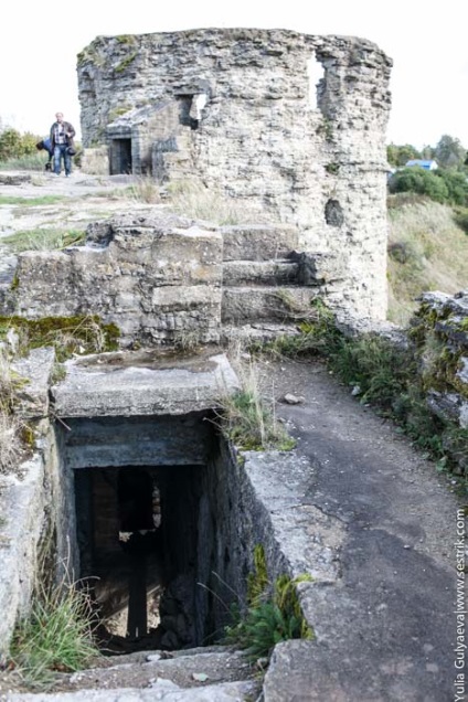 Cetatea Koporskaya (Cetatea) cetatea Koporskaya