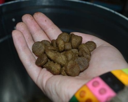 Cel mai bun mâncare pentru câini alimente grandorf pentru animalele de companie (de companie) Cel mai bun mâncare pentru câini alimente grandorf pentru animalele de companie