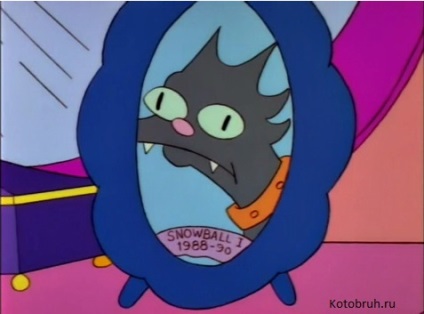 Pisici Simpsons (pisici din seria de televiziune animate Familia Simpson.) pisici Simpsons