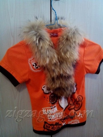costum Squirrel cu mâinile (veverițe sale costume) veverițe costum cu propriile lor mâini