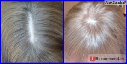 de colorare a părului Naturals culoare Crème garnier - «Culoare - ciocolata - exact ceea ce am fost în căutarea! Excelent (vopsea) de colorare a părului Naturals culoare Crème garnier - «Culoare - ciocolata - exact ceea ce am fost în căutarea! mare