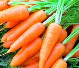 Cine sunt fanii (Beta-carotenul este inventat) Cine sunt fani