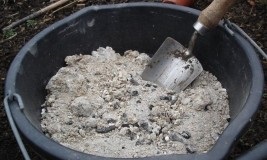 gunoi de grajd de pui ca îngrășământ pentru căpșuni în primăvară, toamnă (pui) gunoi de grajd de pui ca îngrășământ pentru căpșuni în primăvară, toamnă