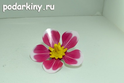 Lightbox pentru mai fotografierea unui subiect face cu mâinile lor (lor) Lightbox pentru mai filmarea unui anumit subiect face propriile lor mâini