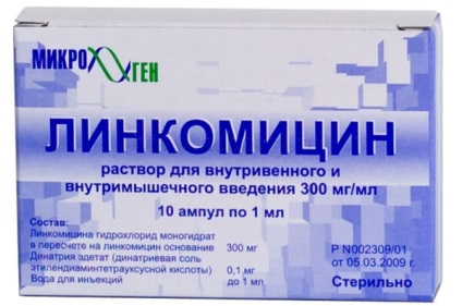 Lincomicina clorhidrat - utilizarea în special dentare (dentare antibiotic lincomicină) Lincomicina clorhidrat - aplicație particulară în stomatologie