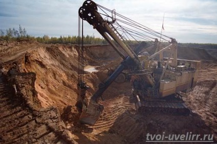 Licența pentru exploatarea aurului, bijutier (licență pentru minerit de aur privat) Licența pentru exploatarea aurului, bijutier