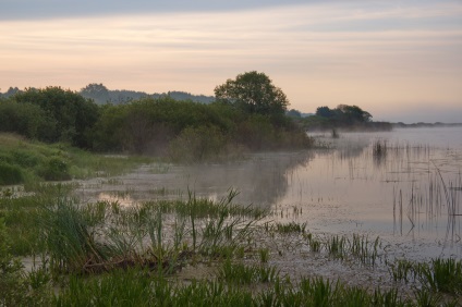 Meadow Lake și locuitorii săi, revista Wild (locuitori) Meadow Lake și locuitorii săi, Journal sălbatice