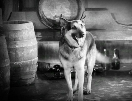 Filme preferate din copilărie - Patru tanc petrolier și un câine (tanchist) Filme preferate din copilărie - Patru tanc petrolier și un câine